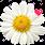 6ce09d774302f611b051b9ec[1].gif