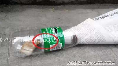 巧用矿泉水瓶捉蟑螂