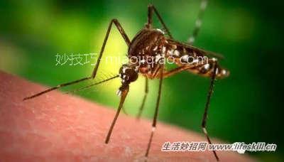 不起眼小物件的生活妙用
