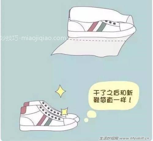 呆萌生活小常识，看了你也会爱上的！