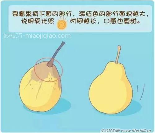 呆萌生活小常识，看了你也会爱上的！