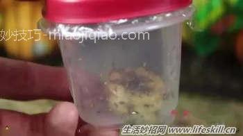 这10个小妙招，让你的夏天更清爽