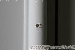 牙膏的居家小妙用