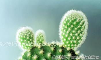 图解生活小妙招，你肯定用的到！