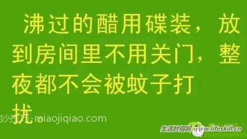 教你几招，蚊子一个夏天都不敢进你房间！