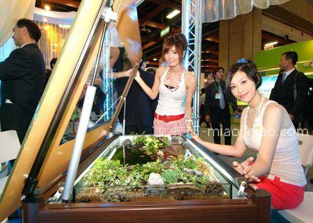 生态桌 IT白领的贴心宝贝 生态桌 IT白领的贴心宝贝