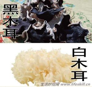 黑木耳和白木耳的区别 