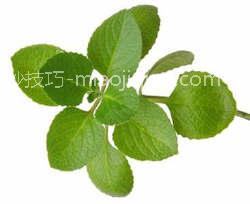 九种永裕爱河的超级食物