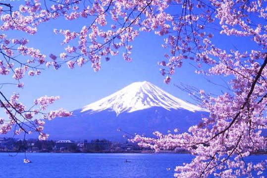 三月玩遍全球各地节庆日 