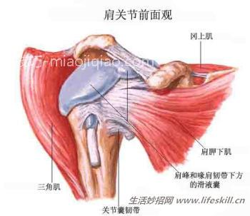 年龄大了得了肩周炎，如何应对？ 