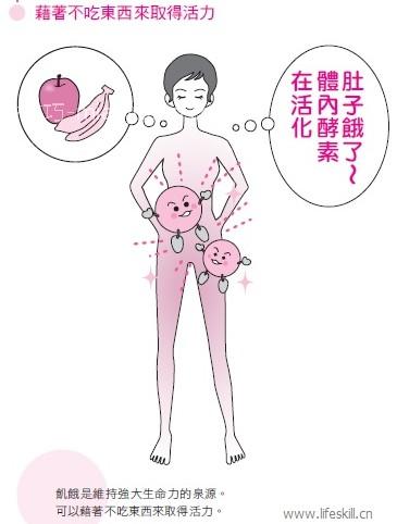 保持饥饿状态反而更有生命力 