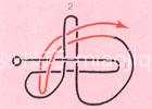 207.jpg (4411 bytes)