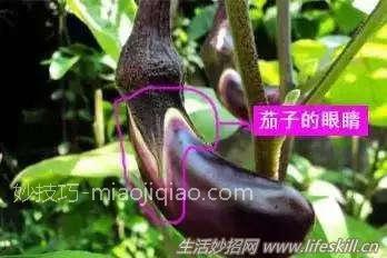 16个买菜小窍门，赶紧收藏！