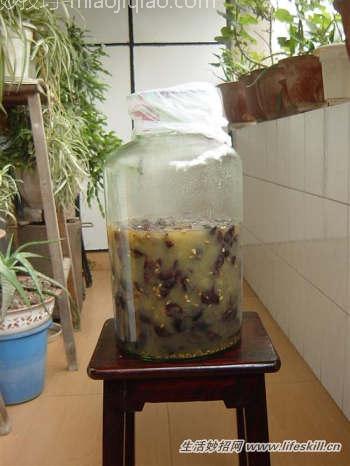 自己动手酿制红葡萄酒