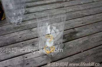 自己动手制作会自动吸水的小盆栽