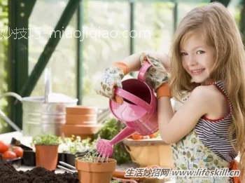 盆花脱水如何挽救？ 