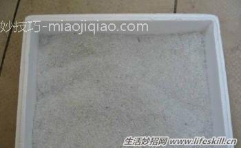 100%成活率的花卉插扦方法 