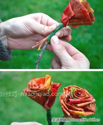 自己动手做束花，点缀美丽的家