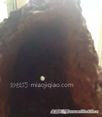 自制多肉植物的器皿