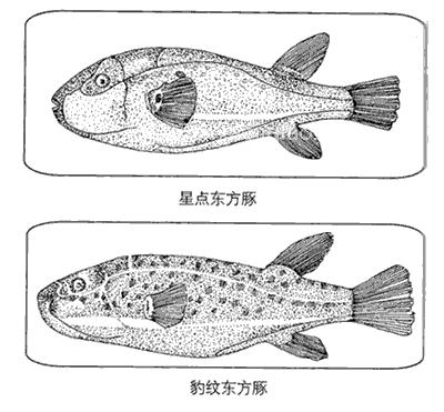 急性中毒(食物中毒)